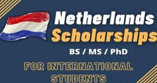 Netherlands Government Scholarships